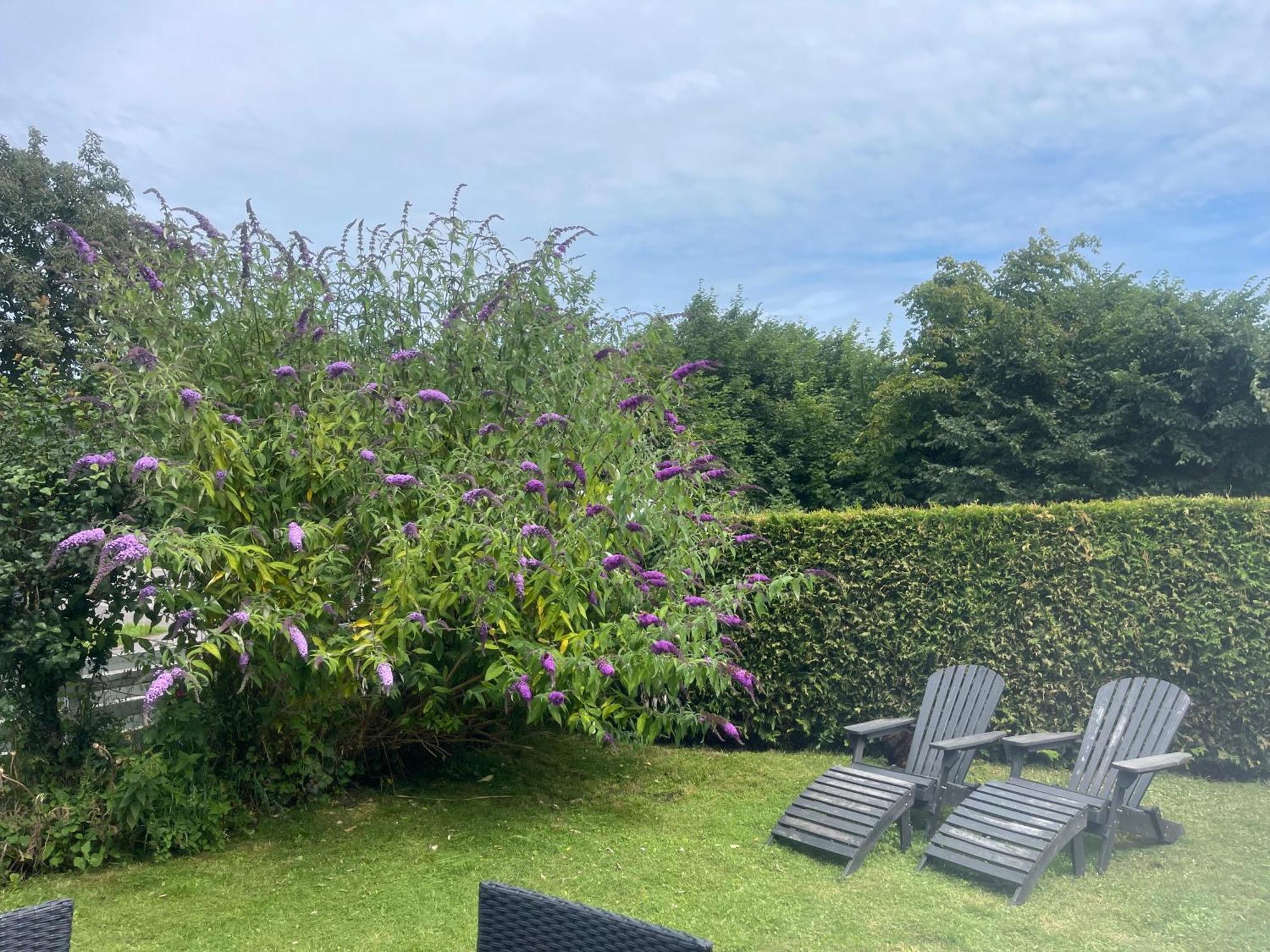 Heidis Residence-Sandkaas, Bornholm 알링에 외부 사진
